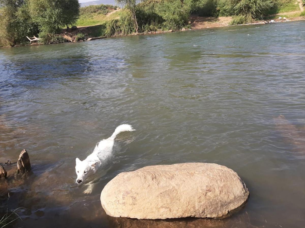 Naftali Albilia Kiryat Shmona Bagian luar foto