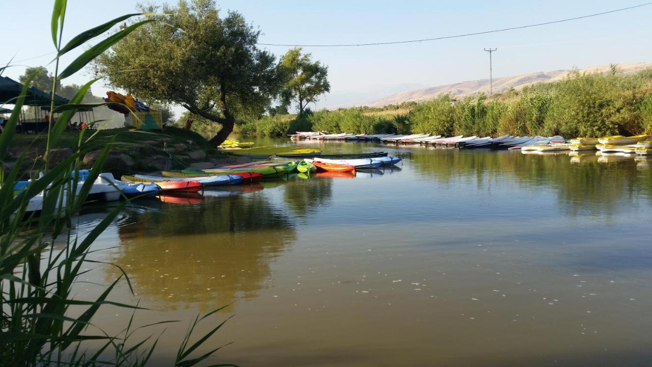 Naftali Albilia Kiryat Shmona Bagian luar foto
