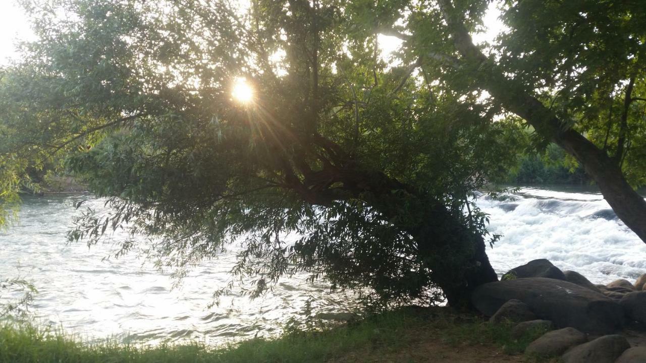 Naftali Albilia Kiryat Shmona Bagian luar foto